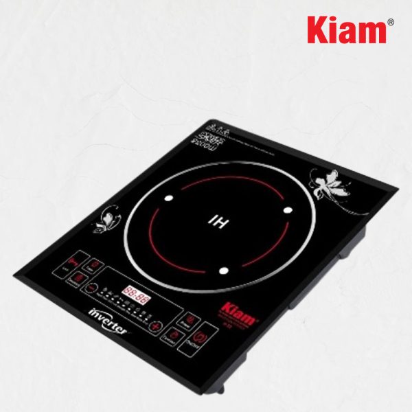 Induction H-22