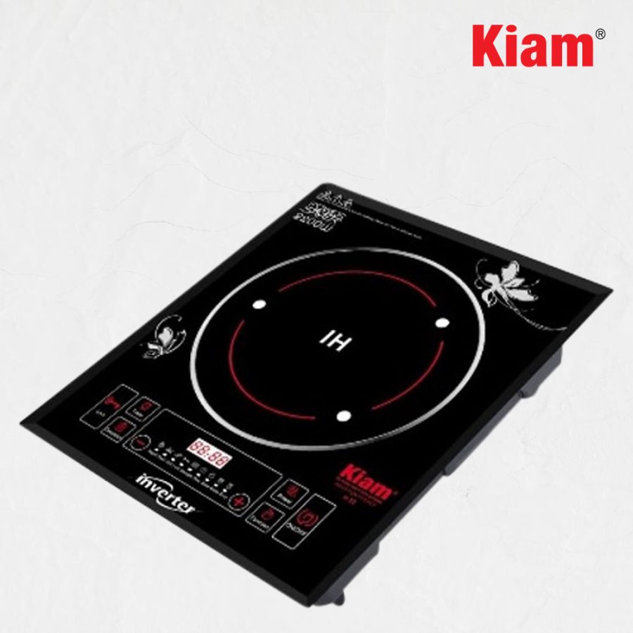 Induction H-22